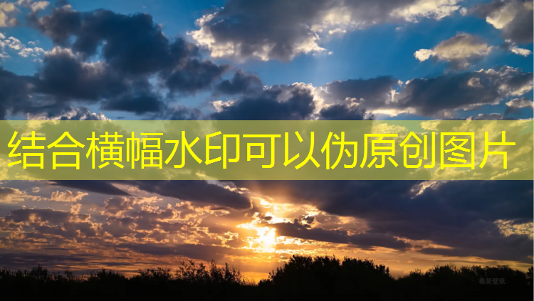 中卫智能塑胶跑道价格表