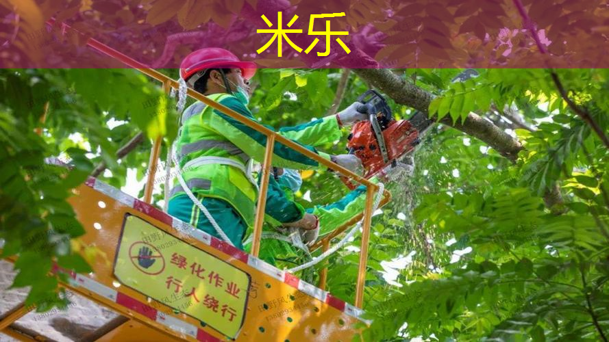 mile·米乐m6：网球拍单人训练器讲解
