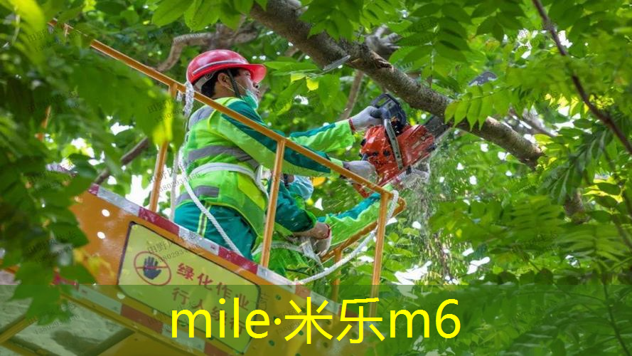 米乐m6官网登录入口：威尔逊中级网球拍怎么样