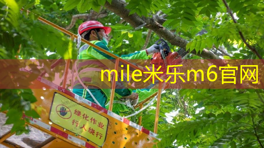 米乐m6官网登录入口：百宝力网球拍10144