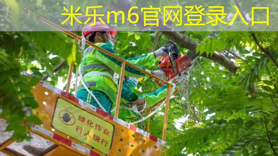 米乐m6官网：单人网球拍带线回弹器底座
