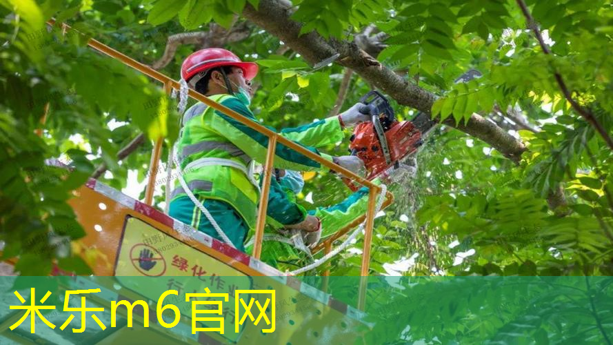 mile·米乐m6：海德网球拍全能系列怎么样