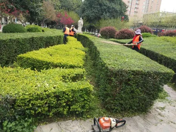 世界杯专用网球拍价格多少