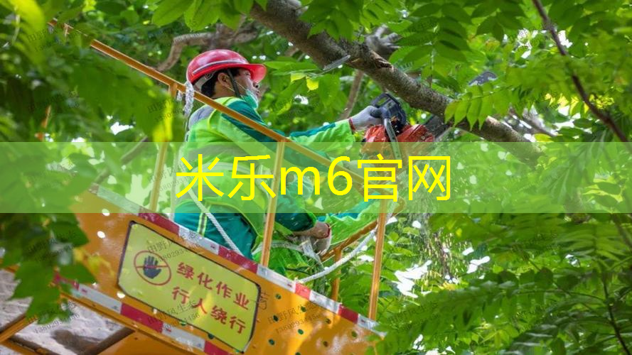mile米乐m6官网：可以装卸的篮网球拍有哪些