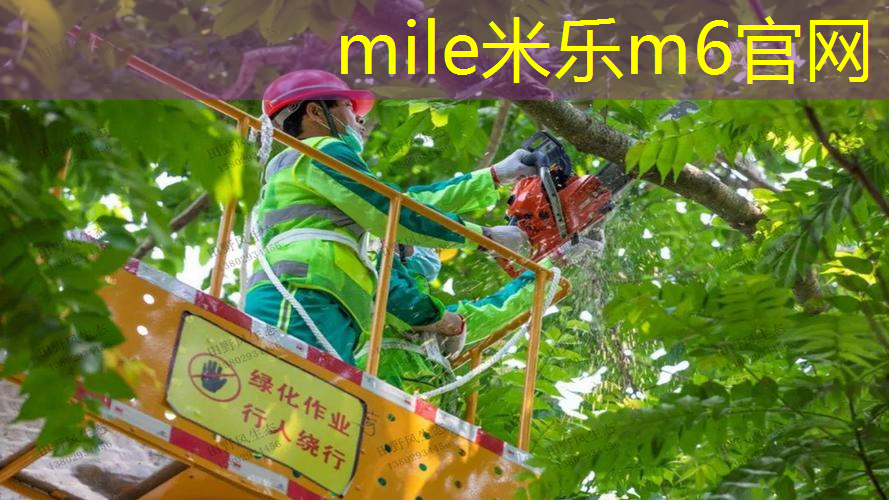 mile·米乐m6：婚纱照和网球拍哪个好看