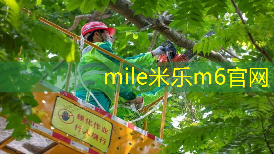 mile·米乐m6：初学百元网球拍怎么选择