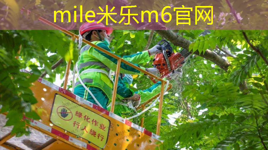 米乐m6官网登录入口：成人男士用什么网球拍合适