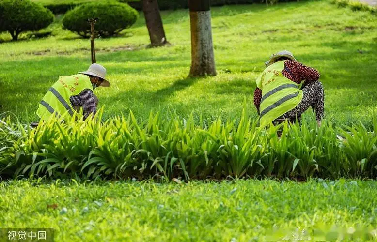 米乐m6官网登录入口：威尔森网球拍好不好