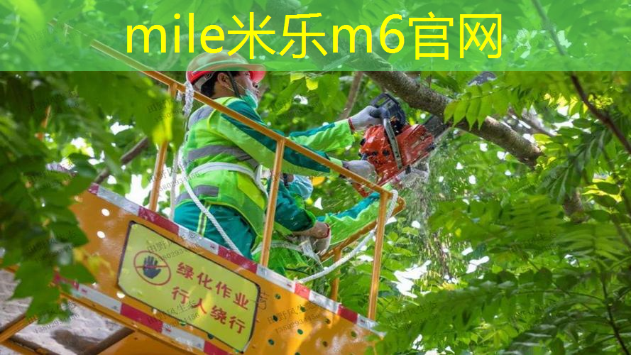 网球拍穿线55磅高吗_