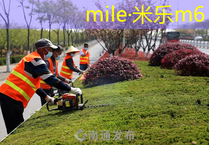 mile·米乐m6：王子的网球拍线多少磅