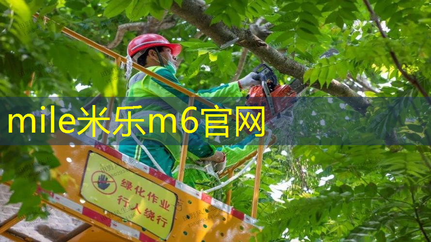 mile·米乐m6：网球拍穿线打结图解法