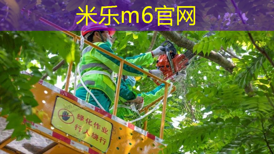 mile·米乐m6：网球拍花哨动作教学教案