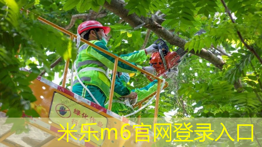 米乐m6官网：在乒乓球台上足球比赛