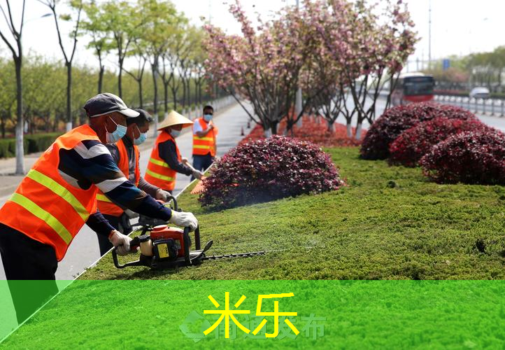 田径训练营所需器材有哪些