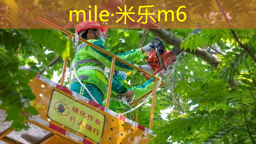 mile米乐m6官网：室内健身器多功能器材