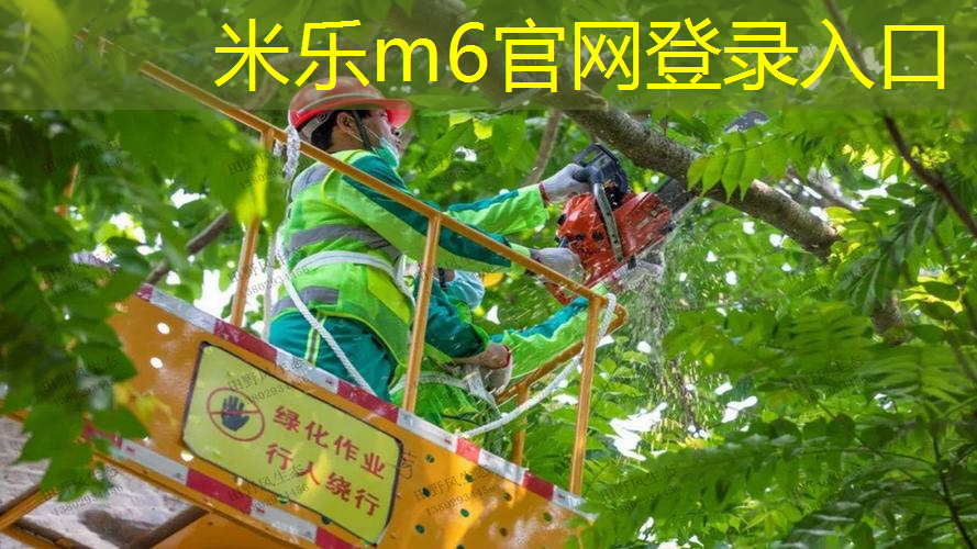 网球拍单人训练器讲解