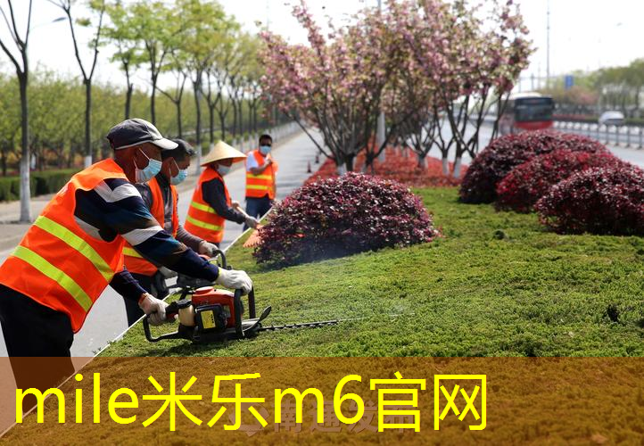 旭步单面网球拍好用吗_