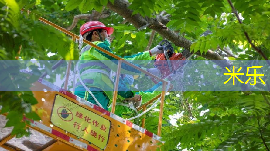 百宝力网球拍10144