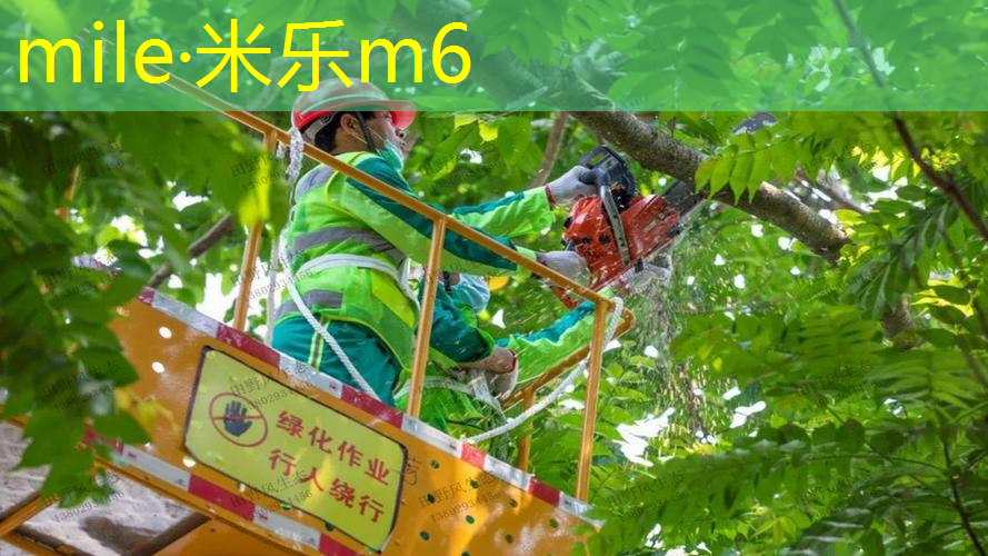 网球拍打断怎么办