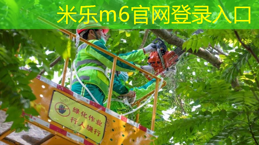 海德网球拍全能系列怎么样