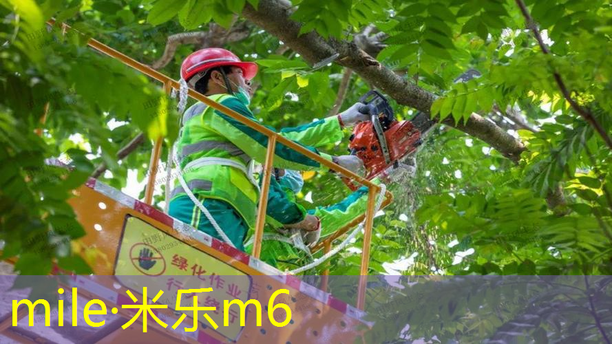 可以装卸的篮网球拍有哪些