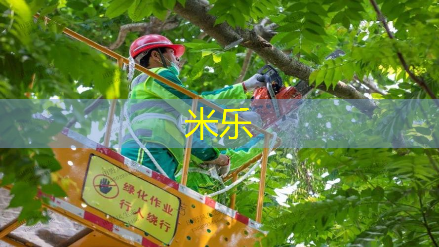 成人男士用什么网球拍合适