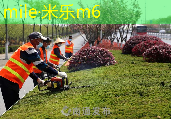 网球拍分为几个部分组成