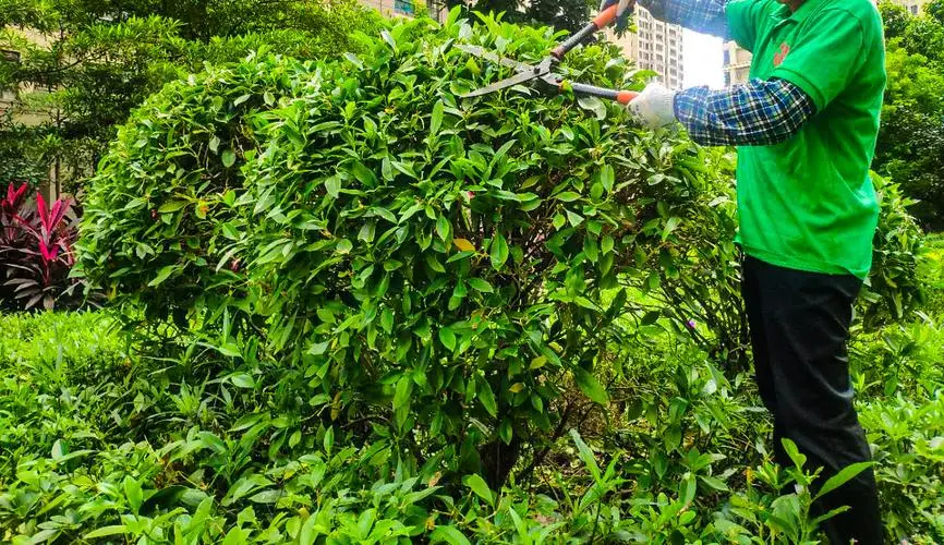 网球拍磅数过高打不动