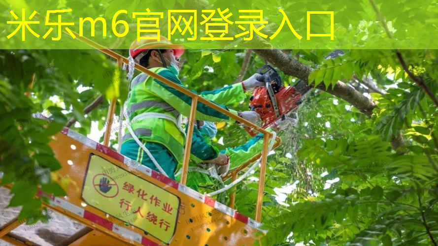 网球拍花哨动作教学教案