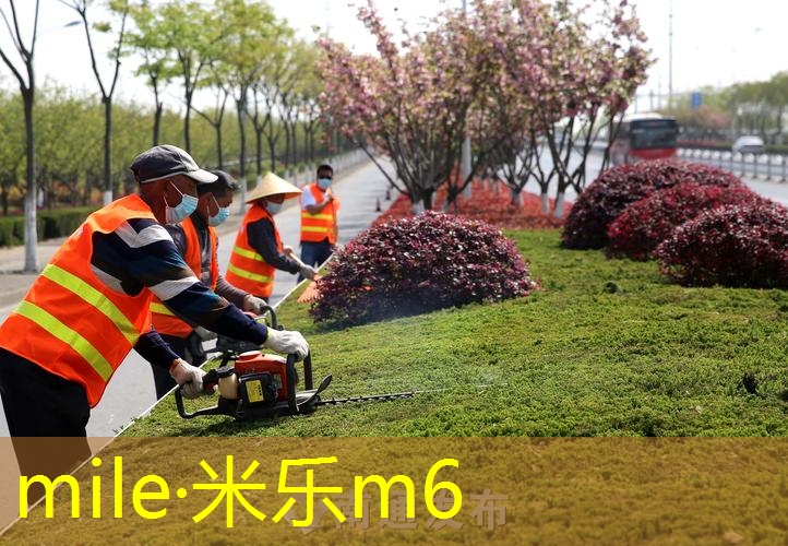 斜杆篮球架安装高手秘诀大公开，让你轻松上手