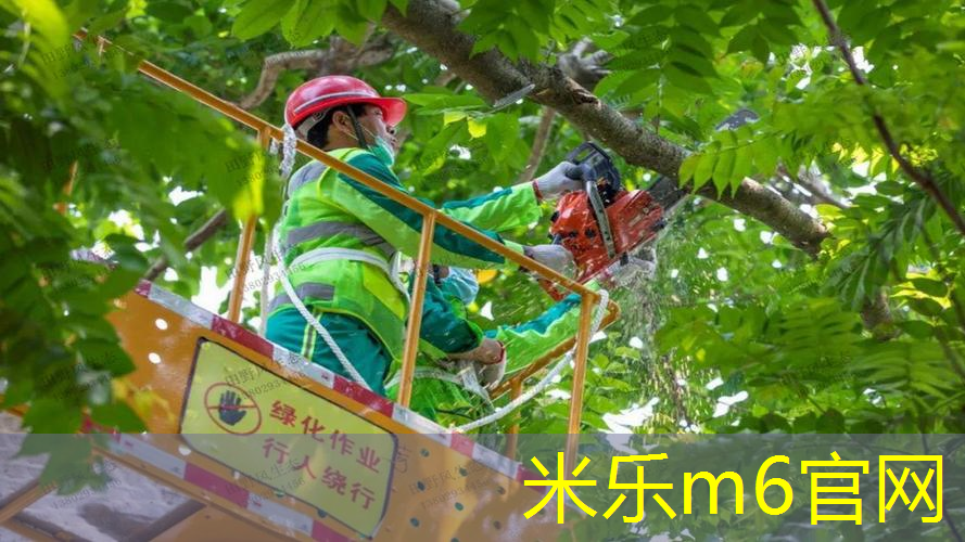 在乒乓球台上足球比赛