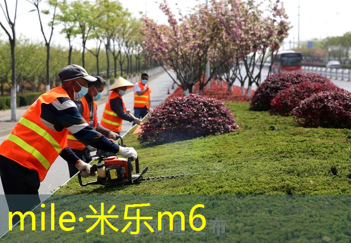 乒乓球台修建材料有哪些