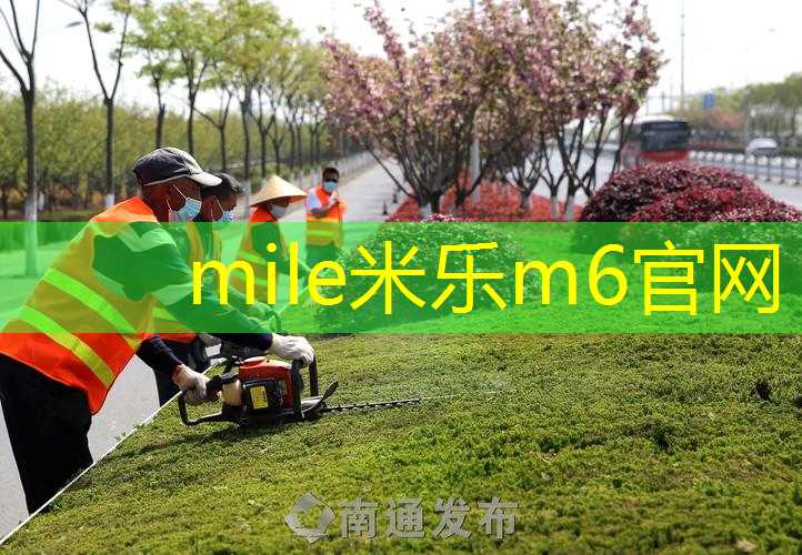 田径训练营所需器材有哪些