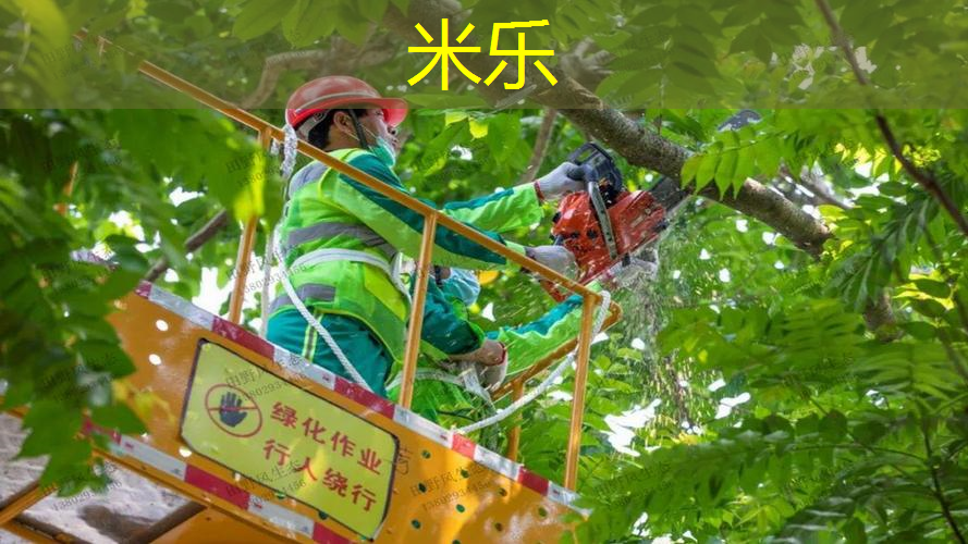 室内健身器多功能器材