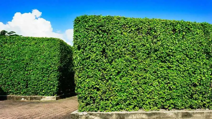 乒乓球台的建构方式